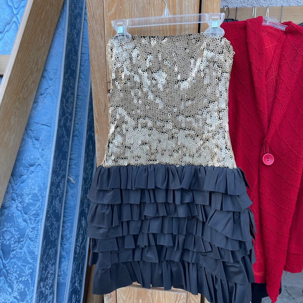 Robert Rodriguez Dress